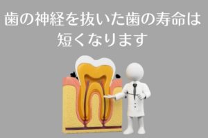 歯の神経を抜いた歯は弱くなる｜香川県 高松市 歯の神経治療専門 吉本歯科医院